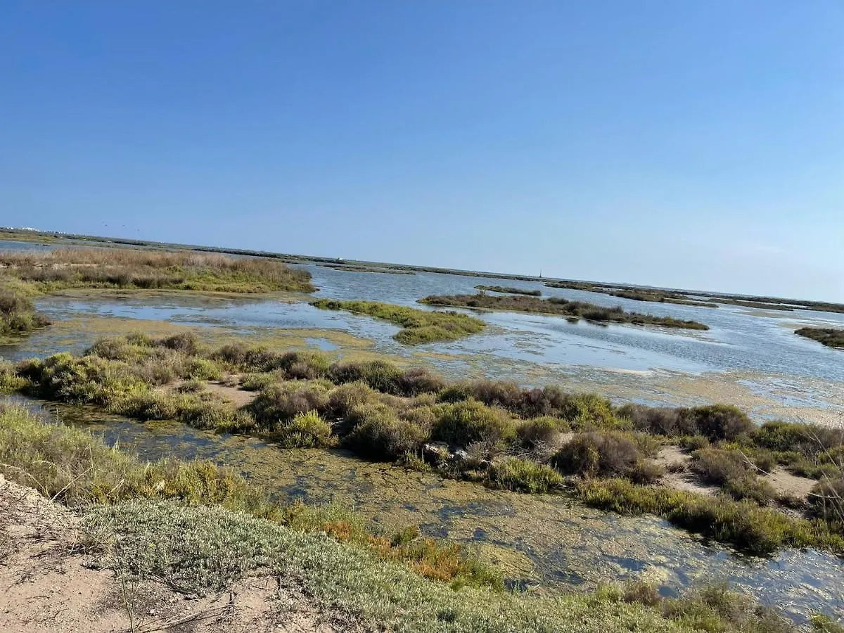 La Calma Del Delta Villa L'Eucaliptus