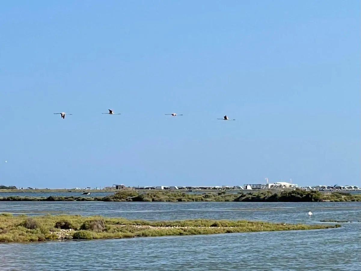 Holiday home La Calma Del Delta Villa L'Eucaliptus Spain